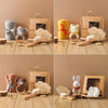 Baby Bath & Milestone Gift Set